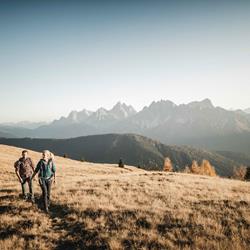 idm-herbst
